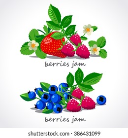 Ripe berries and flowers vector set of strawberry, raspberry and blueberry. pattern for jam or juice. isolated on white background