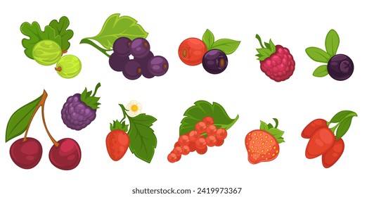 Ripe berries with leaves. Organic natural farm product for desserts and juices. Gooseberry, blueberry and currant, cherry and goji, strawberry and blackberry, raspberry and acai. Vector in flat style