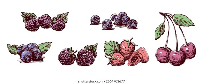 Ripe berries set sketches, raspberries; strawberries; blueberries, cherries, vitamins food, vector outline hand drawings, white background