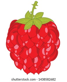 Ripe berry raspberry on white background is insulated