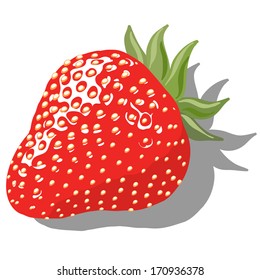 ripe berry strawberries on a white background