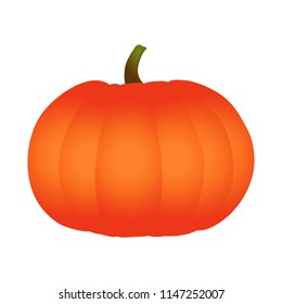 Ripe, big orange pumpkin