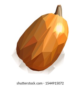
Ripe big pumpkin drawn by hand in the polygonal style on a white background for graphic design.