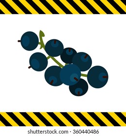 Ripe black currant icon