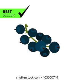 Ripe black currant icon