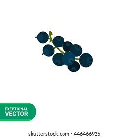 Ripe black currant icon