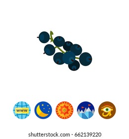 Ripe black currant icon