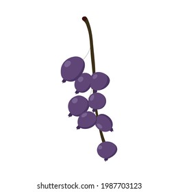 Ripe black currant on a white background for use in web design or in a variety of prints