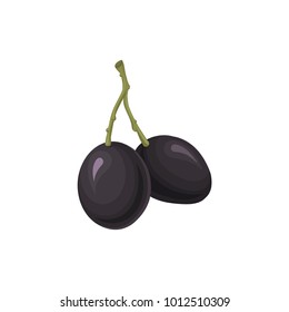 Ripe black olives vector Illustration