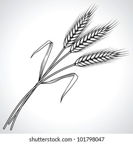 Ripe black wheat ears isolated, vector illustration.