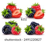 Ripe blackberries, raspberries, strawberries and green leaves. Vector set of wild berries, various design options. 3D realistic food illustration on white background for advertising and packaging