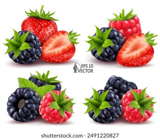 Moras maduras, frambuesas, fresas y hojas verdes. Conjunto de Vector de bayas silvestres, varias opciones de diseño. Ilustración de alimentos realista 3D sobre fondo blanco para publicidad y embalaje