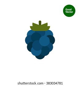 Ripe blackberry icon