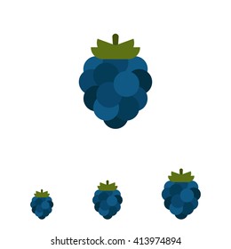 Ripe Blackberry Icon