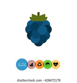 Ripe blackberry icon