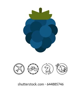 Ripe blackberry icon