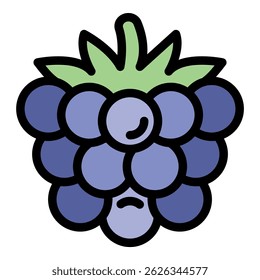 Ripe blackberry icon. Outline ripe blackberry vector icon color flat isolated