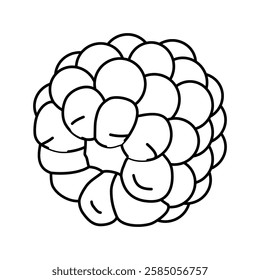 ripe blackberry line icon vector. ripe blackberry sign. isolated contour symbol black illustration