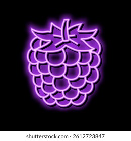 ripe blackberry neon light sign vector. ripe blackberry illustration
