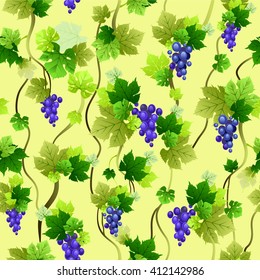 Ripe blue grapes pattern. The natural design for banner, ticket, leaflet and so on.