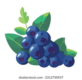 Ripe blueberries on green leaf, fresh nature icon isolated