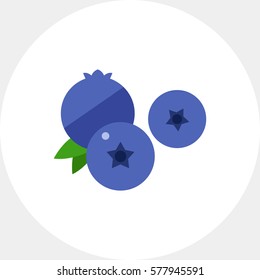 Ripe Blueberry Icon