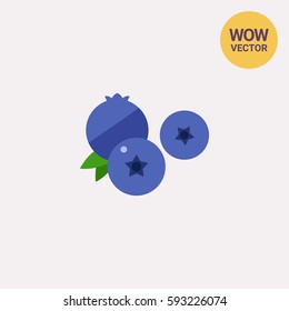 Ripe Blueberry Icon