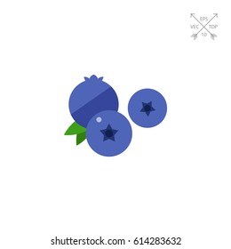 Ripe Blueberry Icon