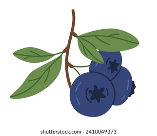 Ripe blueberry. Wild delicious blueberries twig, edible fresh berries for healthy nutrition flat vector illustration. Hand drawn juicy forest berries