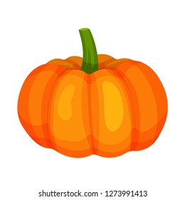 Ripe bright orange pumpkin. Natural and healthy food. Organic farm product. Ingredient for vegetarian dish. Cartoon vector design.