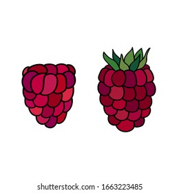 Ripe and bright raspberries on white isolated background. Summer fruit.