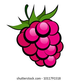 Ripe bright raspberry with black stroke on a white background.Vector illustration.