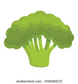 Ripe broccoli icon. Cartoon of ripe broccoli vector icon for web design isolated on white background