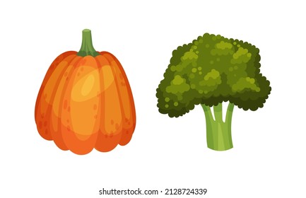 Ripe Broccoli and Pumpkin Vegetable as Healthy Raw Food and Garden Cultivar Closeup Vector Set