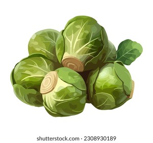 Ripe Brussels sprouts, a gourmet meal design icon isolated