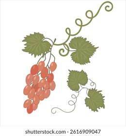  Ripe bunch of grapes with leaves . Simple flat vector illustration on white background in warm natural colors . Trendy artistic design of juicy fruits drawn by hand . Clipart illustration .