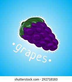 ripe bunch of grapes on a blue background