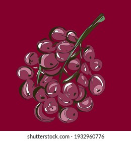 Ripe bunch of grapes. Purple and green. Fruit. Veganism, vegetarianism, raw food diet, proper nutrition. Vector isolated objects.