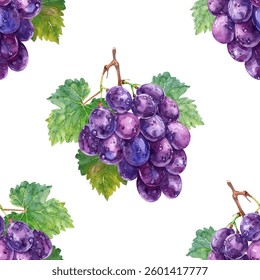 Ripe bunch of purple grapes with vibrant green leaf beautiful illustration. Ideal for food-related designs, wine labels, kitchen decor, organic product branding. Violet grapes fruit vector