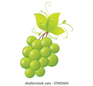 A ripe bundle of green grapes with dewdrop leaves and swirly vines elements.