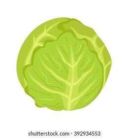 Ripe cabbage icon on white background vector illustration