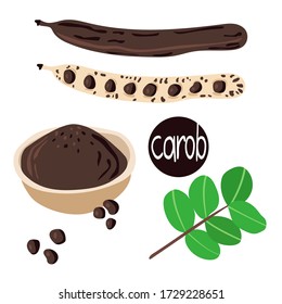 Ripe Carob pods, leaves, seeds and carob powder on the white background. Cartoon flat vector illustration. Superfood healthy food set