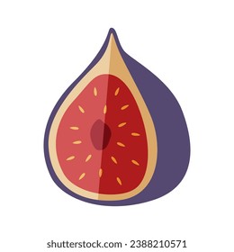 Huevos de dibujos animados maduros en el corte. Ilustración vectorial de un medio fruto de higo tropical. Aislado en blanco.