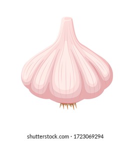 Ripe cartoon garlic, vegetable harvest, fresh and healthy food, vector icon.