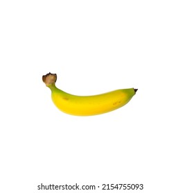 Ripe Cavendish banana on white background vector illustration