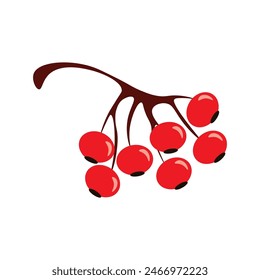 Ripe cherries clustered together on a branch, ready for picking in the autumn season.