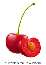 Ripe cherries isolated on a white background. Whole red cherry and half cherry with pit, realistic 3d vector illustration. Ripe of berries, glistening with vibrant hues.