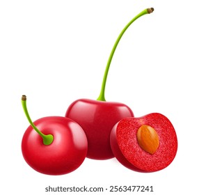 Ripe cherries isolated on a white background. Whole red cherry and half cherry with pit, realistic 3d vector illustration. Ripe of berries, glistening with vibrant hues.