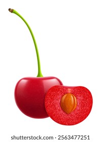 Ripe cherries isolated on a white background. Whole red cherry and half cherry with pit, realistic 3d vector illustration. Ripe of berries, glistening with vibrant hues.