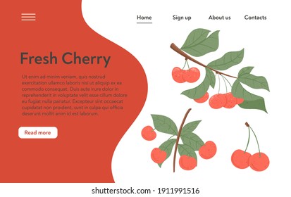 Ripe cherries landing page design. Sweet fresh cherry berry with leaves vector hand drawn website concept. Bright tasty berries. Juice or jam web page template.